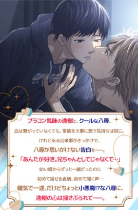 ブラザーホリック ゲーム画面2