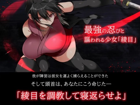 忍堕とし DL Play Box版 メインビジュアル2