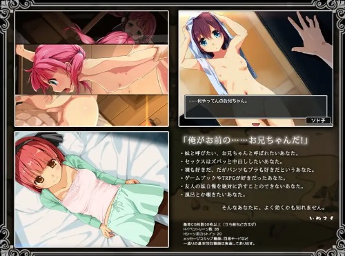 限界!?お兄ちゃん シスタートラベル R18シーン