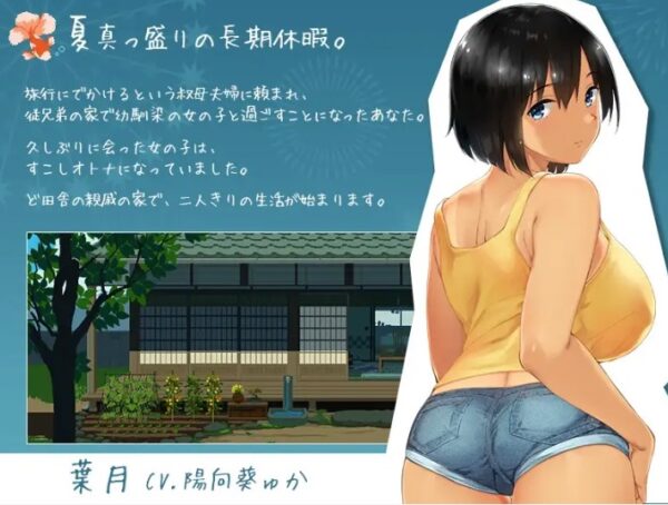 SUMMER-田舎の性活 ドット調の進行画面